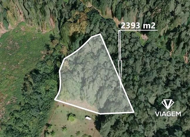 Prodej podílu lesa, Žinkovy, 1196 m2