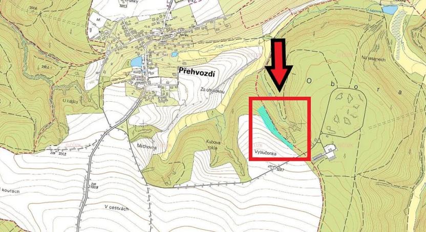 Prodej lesa, Přehvozdí, 10890 m2