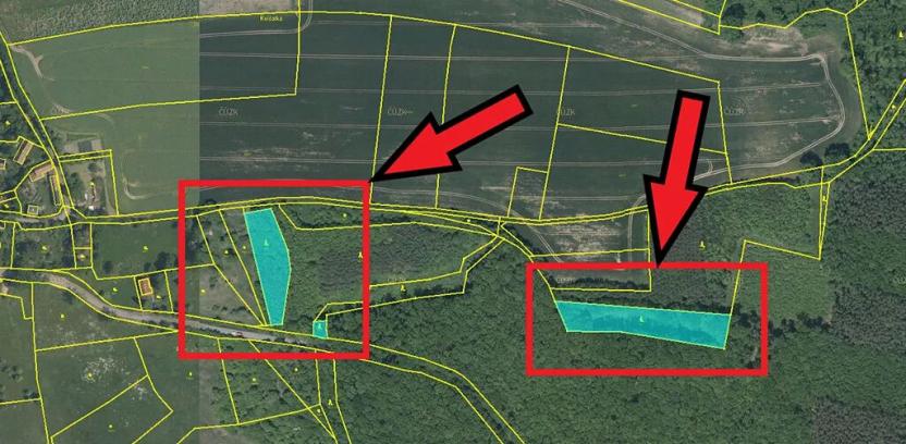 Prodej lesa, Bačalky, 5824 m2