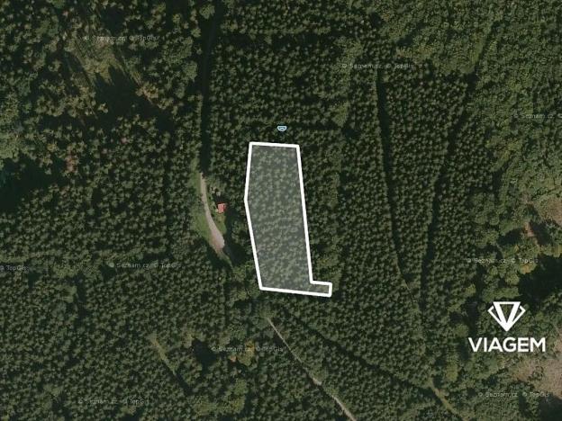 Prodej podílu lesa, Morávka, 2087 m2