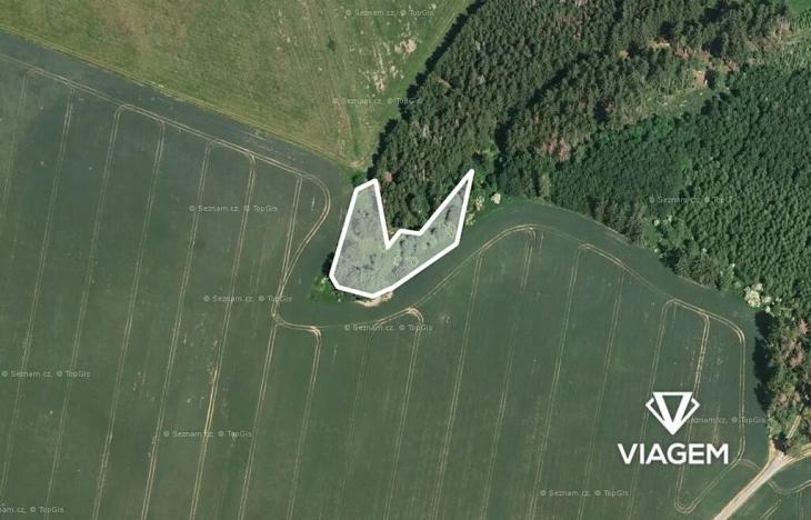 Prodej podílu lesa, Radošovice, 341 m2