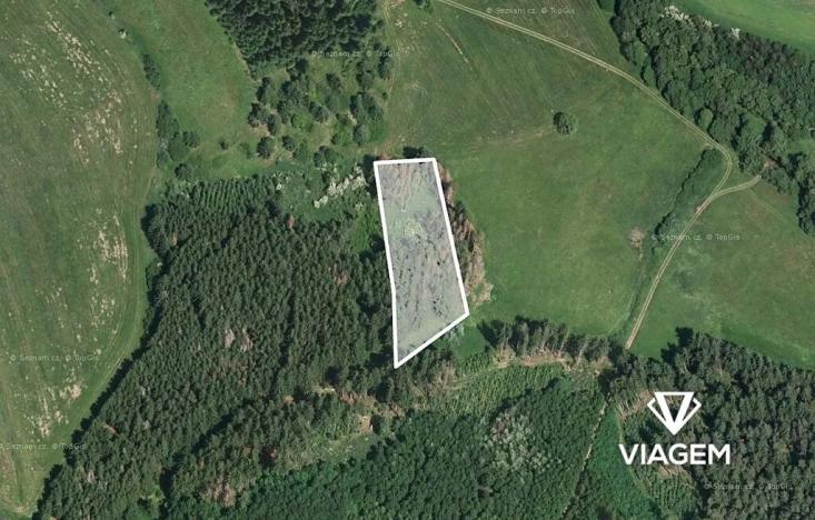 Prodej podílu lesa, Radošovice, 547 m2