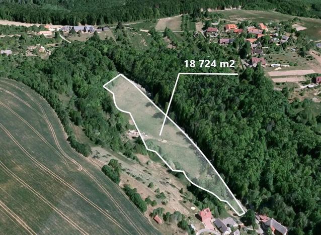 Prodej podílu lesa, Košíky, 3322 m2