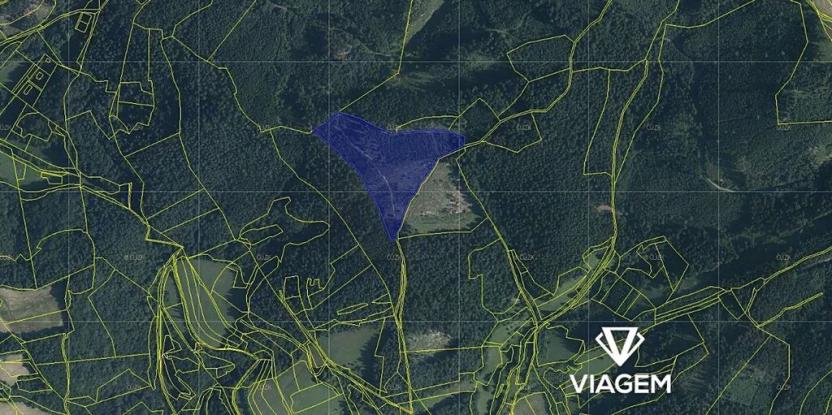 Prodej lesa, Všemina, 21200 m2