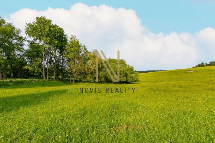 Prodej pozemku pro bydlení, Hořice na Šumavě, 975 m2