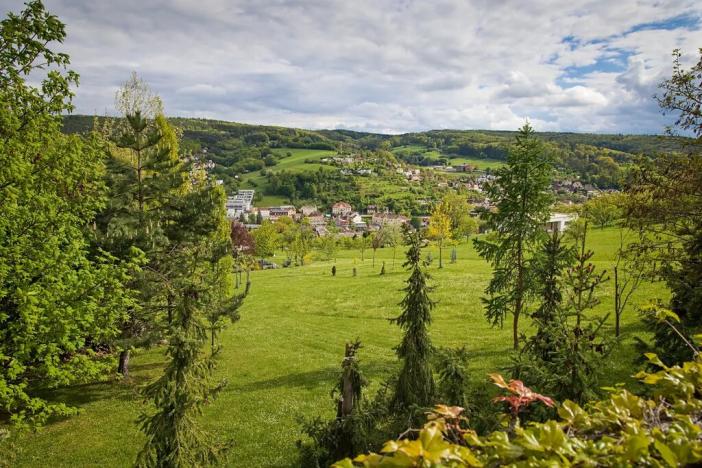 Prodej pozemku pro bydlení, Luhačovice, 1850 m2