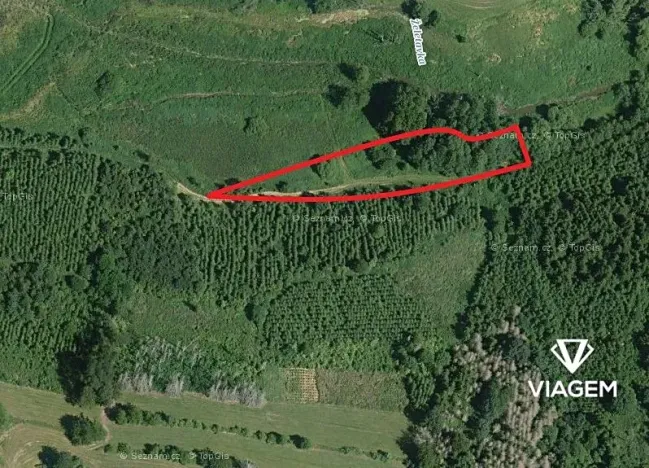 Prodej podílu lesa, Budeč, 1377 m2