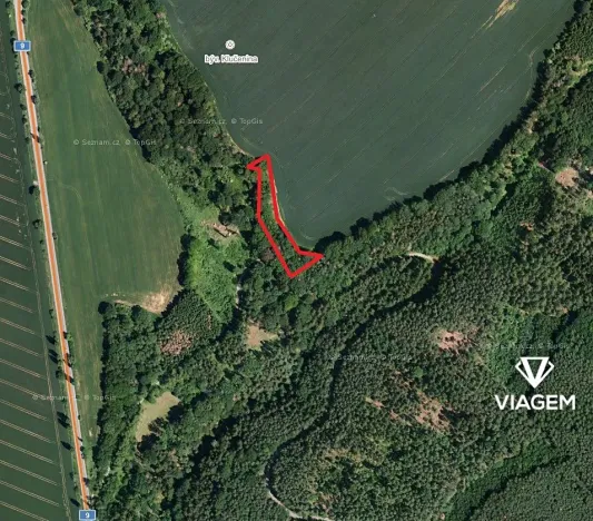 Prodej podílu lesa, Vrchovany, 991 m2