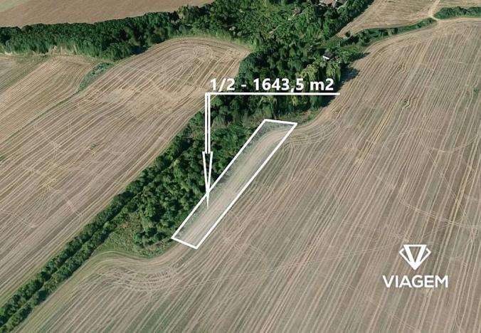 Prodej pole, Nesuchyně, 3287 m2