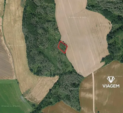 Prodej podílu lesa, Třebíč, 559 m2