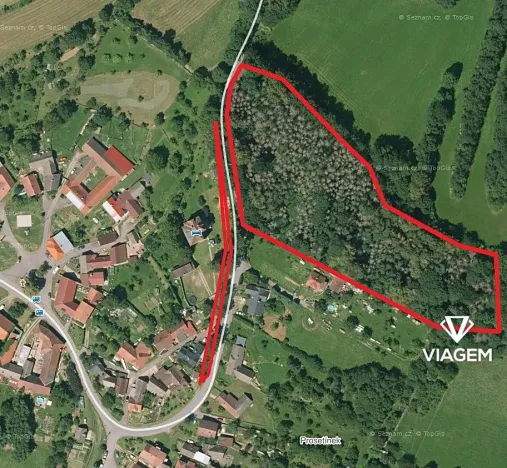 Prodej podílu lesa, Prosetín, 1270 m2