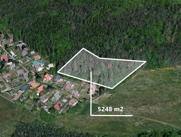 Prodej podílu lesa, Stříbrná Skalice, 2040 m2