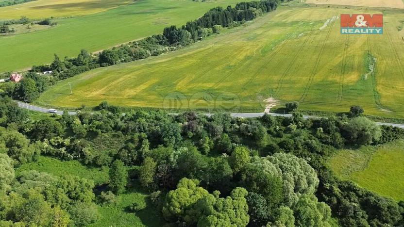 Prodej louky, Spálené Poříčí, 13461 m2