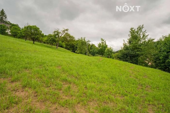 Prodej pozemku pro bydlení, Bratrušov, 2853 m2