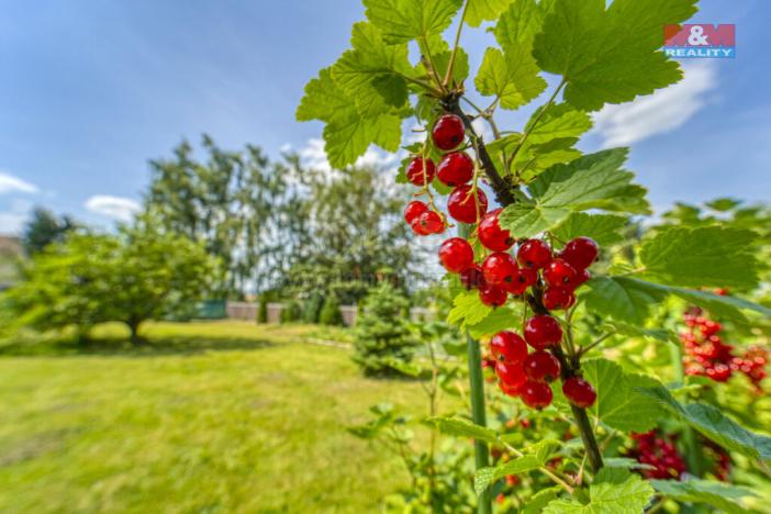Prodej pozemku pro bydlení, Zbůch, 520 m2