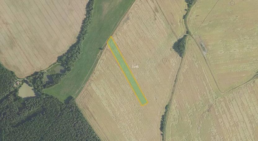 Prodej pole, Podluhy, 11602 m2
