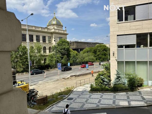 Prodej bytu 3+1, Praha - Vinohrady, Škrétova, 117 m2