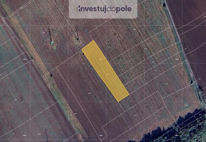 Prodej pole, Veltrusy, 1504 m2