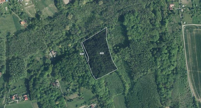 Prodej lesa, Doubrava, 10811 m2