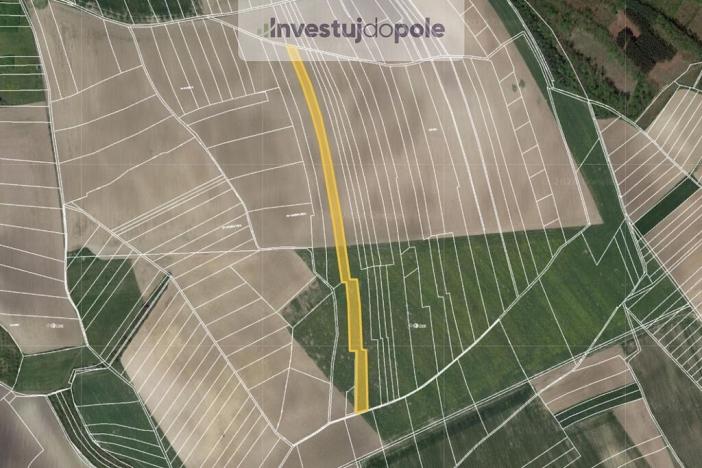 Prodej pole, Velenice, 1300 m2