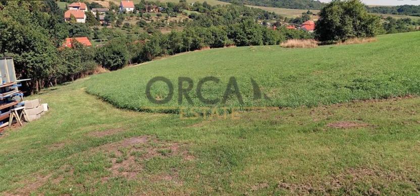 Prodej louky, Košíky, 3748 m2