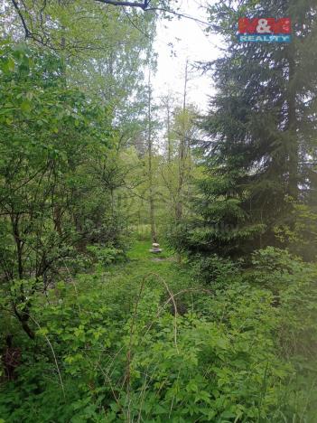Prodej lesa, Dlouhý Most, 4526 m2