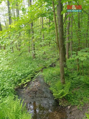 Prodej lesa, Dlouhý Most, 4526 m2