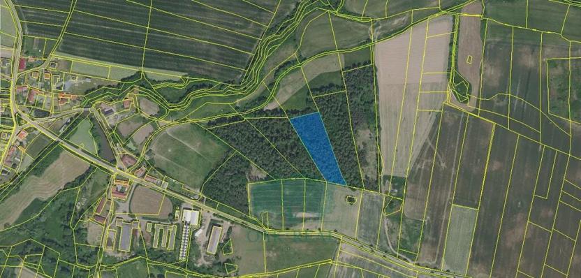 Prodej lesa, Chrášťany, 9048 m2