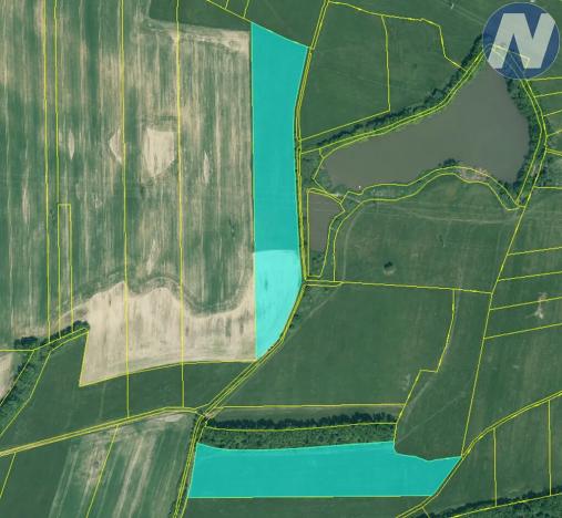 Prodej podílu pole, Němčice, 182831 m2