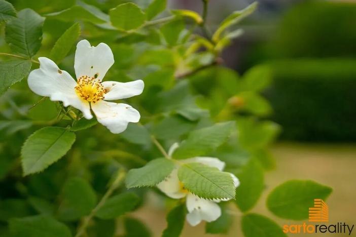 Prodej rodinného domu, Praha - Hloubětín, Mochovská, 210 m2