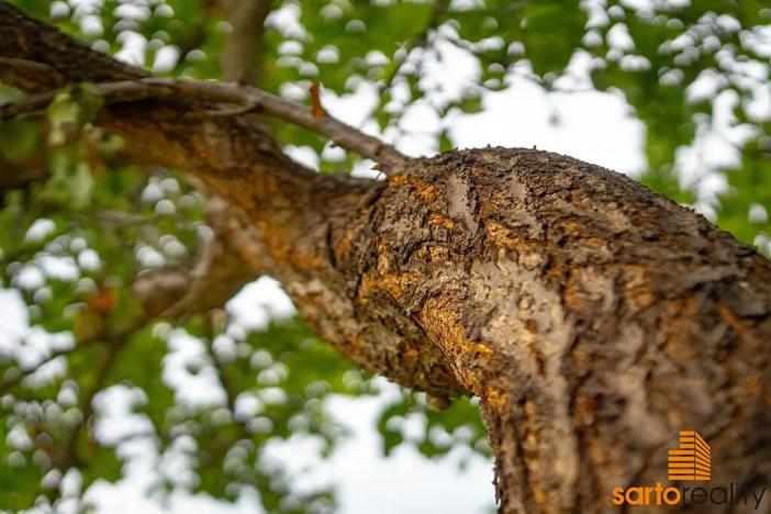 Prodej rodinného domu, Praha - Hloubětín, Mochovská, 210 m2