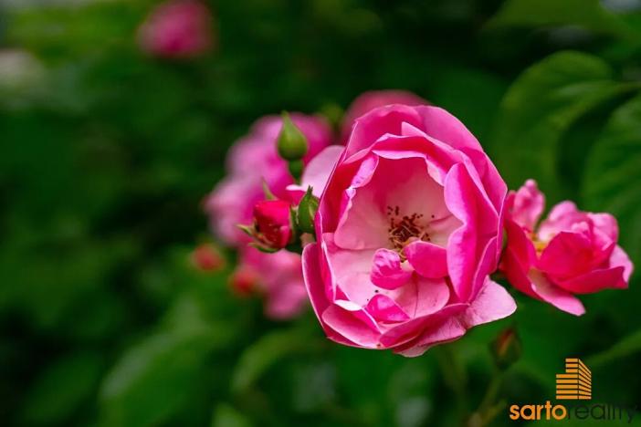 Prodej rodinného domu, Praha - Hloubětín, Mochovská, 210 m2