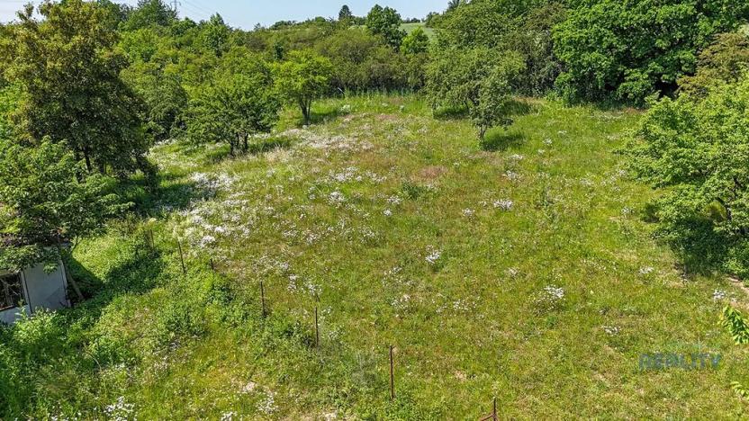 Prodej zahrady, Praha - Dolní Chabry, 10599 m2