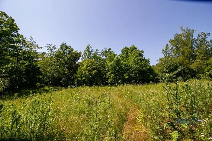 Prodej zahrady, Praha - Dolní Chabry, 10599 m2