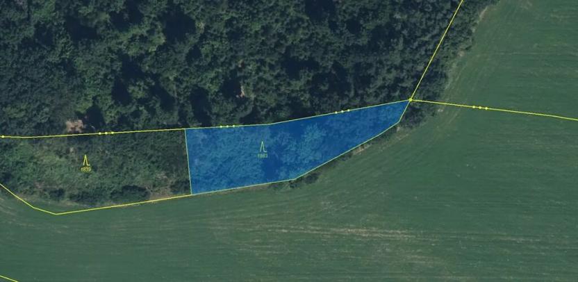 Prodej louky, Zdobín, 145881 m2