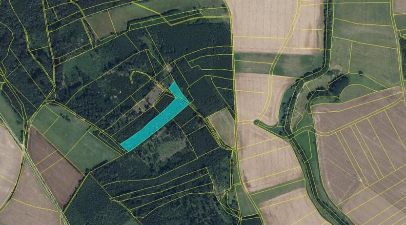 Prodej louky, Zdobín, 145881 m2