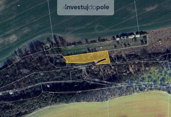 Prodej pole, Třebichovice - Saky, 2087 m2