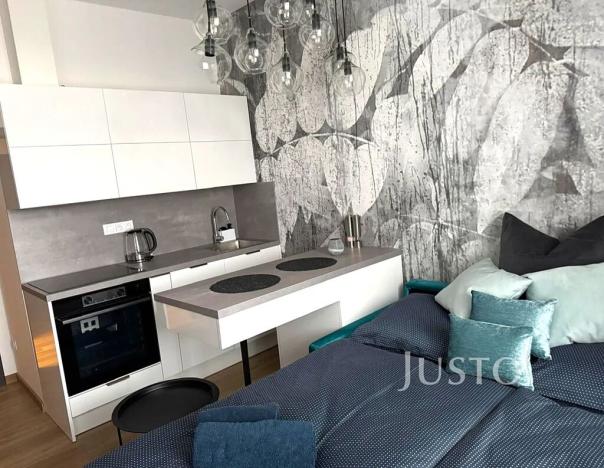 Pronájem bytu 1+kk, Písek, Vladislavova, 20 m2