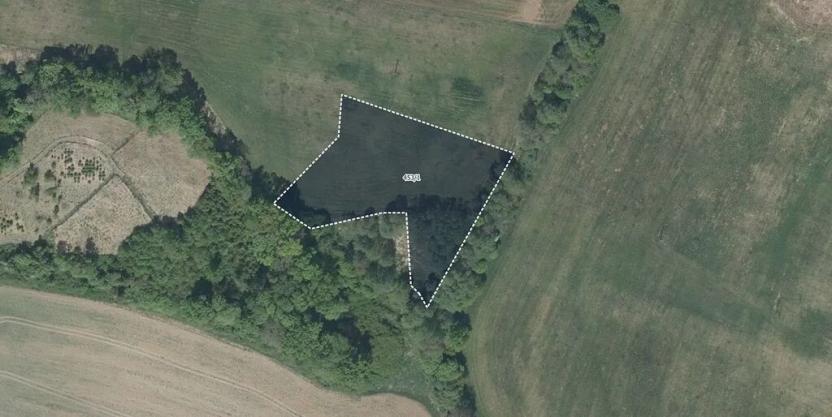 Prodej louky, Lázně Bělohrad, 4424 m2