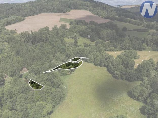 Prodej rybníku, Planá, 1939 m2