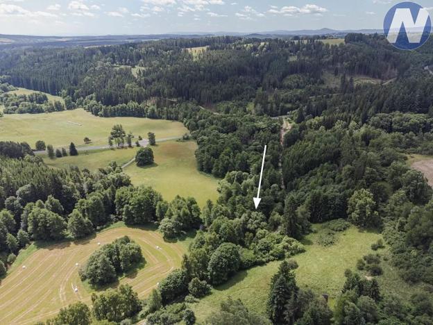 Prodej rybníku, Planá, 1939 m2