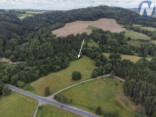 Prodej rybníku, Planá, 1939 m2