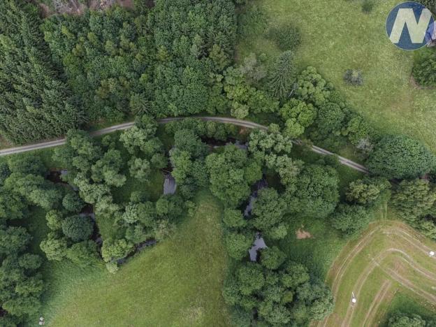 Prodej rybníku, Planá, 1939 m2