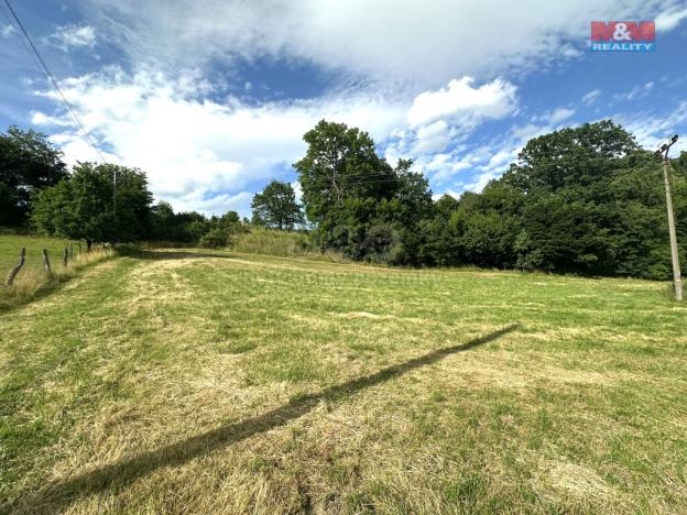 Prodej pozemku pro bydlení, Bílovec - Stará Ves, 5499 m2