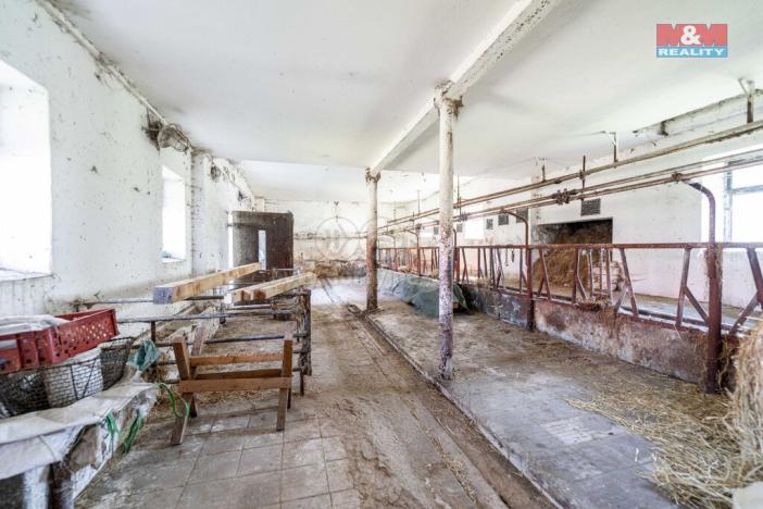 Prodej zemědělské usedlosti, Nížkov, 100 m2