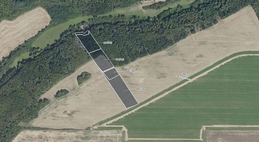 Prodej pole, Vyšehořovice, 19741 m2