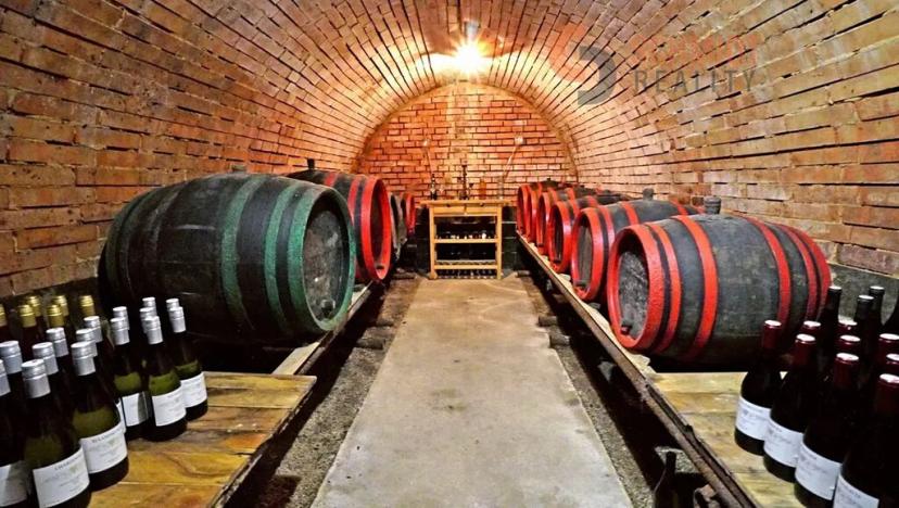 Prodej rodinného domu, Tvrdonice, Vinohradní, 190 m2