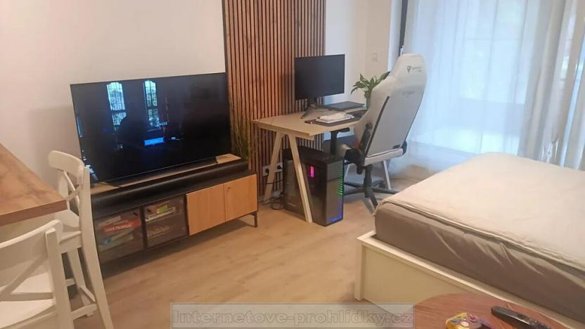 Pronájem bytu 1+kk, Praha - Žižkov, Tetauerova, 32 m2