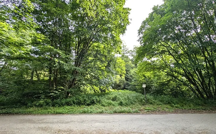 Prodej pozemku, Vizovice, 32591 m2