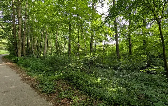 Prodej pozemku, Vizovice, 32591 m2